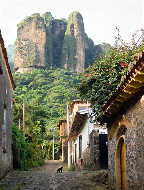 Tepoztlan's Yoga and Wellness Retreats: Nurturing Mind, Body, and Spirit in a Magical Setting